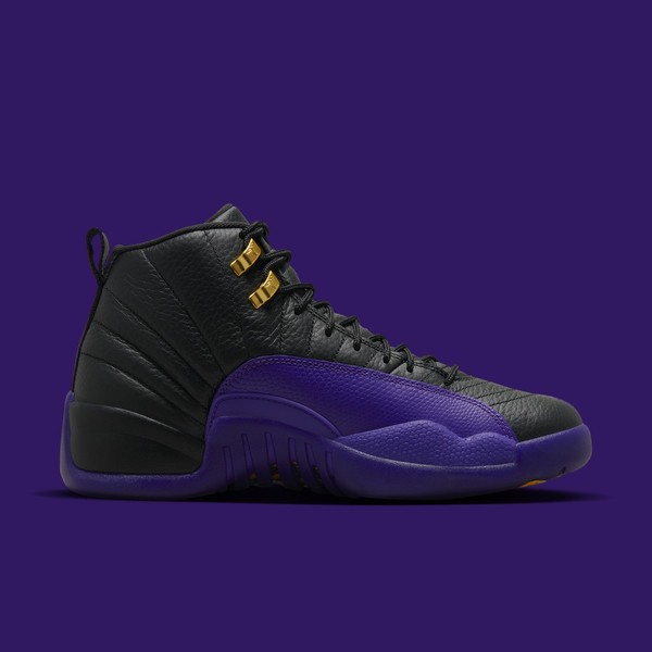 Jordan 12 pro purple online